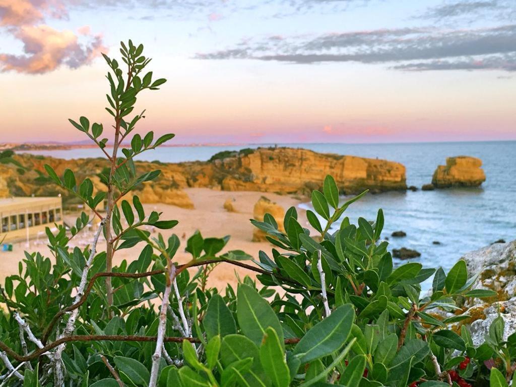 Appartamento Casa Elisa Sao Rafael Albufeira Esterno foto